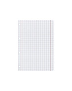 Recambio liderpapel a4 100 hojas 100gr cuadro 5mm con doble margen 4 taladros