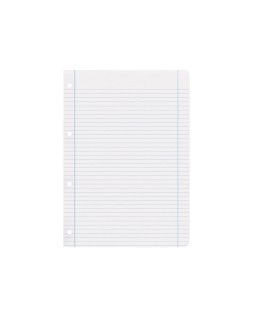 Recambio liderpapel a4 100 hojas 100gr horizontal con doble margen 4 taladros