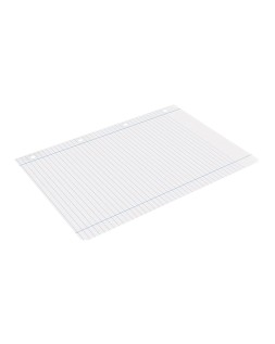 Recambio liderpapel a4 100 hojas 100gr horizontal con doble margen 4 taladros