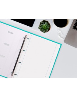 Recambio liderpapel a4 100 hojas 100gr liso 4 taladros doble margen