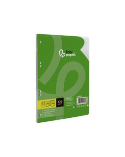 Recambio liderpapel a5 100 h 100gr horizontal doble margen 6 taladros
