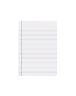Recambio liderpapel a5 100 h 100gr horizontal doble margen 6 taladros
