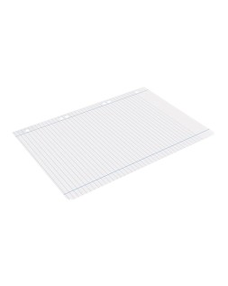 Recambio liderpapel a5 100 h 100gr horizontal doble margen 6 taladros