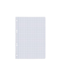 Recambio liderpapel cuarto 100 hojas 60gr milimetrado sin margen 6 taladros