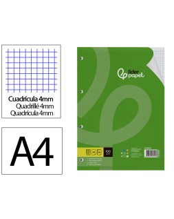 Recambio liderpapel a4 100 hojas 100gr cuadro 4mm con m argen 4 taladros