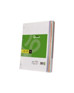 Recambio liderpapel a5 120 hojas 75gr cuadro 5mm sin ma rgen 6 taladros bandas de 5 colores
