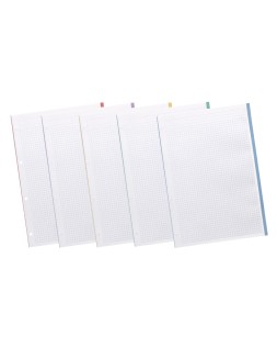 Recambio liderpapel a5 120 hojas 75gr cuadro 5mm sin ma rgen 6 taladros bandas de 5 colores