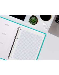 Recambio liderpapel a4 100 hojas 60gr rayado nº 46 4 taladros