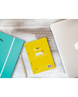 Recambio liderpapel a5 pautaguia 100 hojas 75gr cuadriculado pautado 4mm con margen 6 taladros