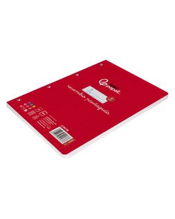 Recambio liderpapel cuarto pautaguia 100 hojas 75gr cuadriculado pautado 5 mm con margen 6 taladros