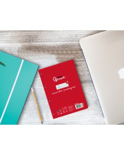 Recambio liderpapel cuarto pautaguia 100 hojas 75gr cuadriculado pautado 5 mm con margen 6 taladros