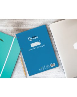 Recambio liderpapel a4 pautaguia 100 hojas 75gr cuadriculado pautado 3mm con margen 4 taladros