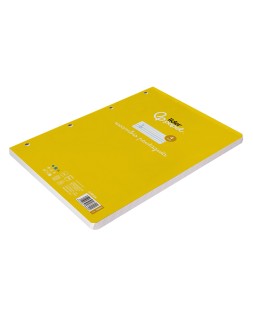Recambio liderpapel a4 pautaguia 100 hojas 75gr cuadriculado pautado 4mm con margen 4 taladros