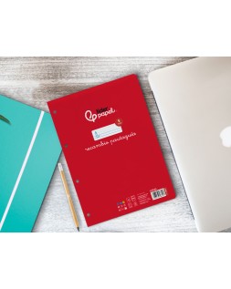 Recambio liderpapel a4 pautaguia 100 hojas 75gr cuadriculado pautado 5mm con margen 4 taladros