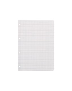 Recambio liderpapel a4 pautaguia 100 hojas 75gr cuadriculado pautado 2,5mm con margen 4 taladros