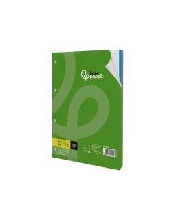 Recambio liderpapel a4 100 hojas 100gr cuadro 5mm 4 taladros bandas de 5 colores