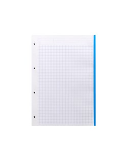 Recambio liderpapel a4 100 hojas 100gr cuadro 5mm 4 taladros bandas de 5 colores