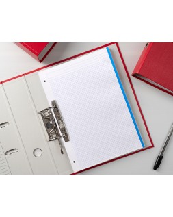 Recambio liderpapel a4 100 hojas 100gr cuadro 5mm 4 taladros bandas de 5 colores