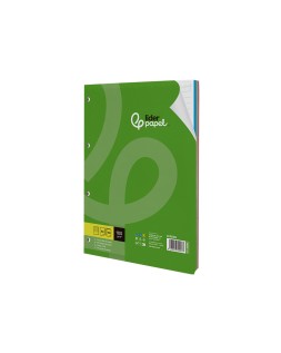 Recambio liderpapel a4 100 hojas 100gr rayado horizontal 4 taladros bandas de 5 colores