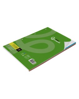 Recambio liderpapel a4 100 hojas 100gr rayado horizontal 4 taladros bandas de 5 colores