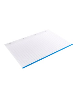 Recambio liderpapel a4 100 hojas 100gr rayado horizontal 4 taladros bandas de 5 colores