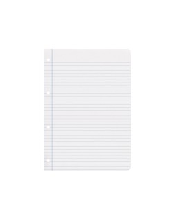 Recambio liderpapel a4 100 hojas 100gr rayado horizontal con margen 4 taladros