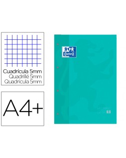 Recambio color 1 oxford din a4+ 80 hojas 90 gr cuadro 5 mm 4 taladros color ice mint