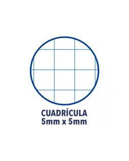 Recambio color 1 oxford din a4+ 80 hojas 90 gr cuadro 5 mm 4 taladros color verde manzana