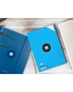 Recambio antartik a4 100 hojas 100gr rayado horizontal 4 taladros bandas de 5 colores