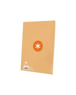 Recambio antartik a4 80 hojas 90gr cuadro 5mm 4 taladros 1 banda con marco color peach