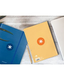 Recambio antartik a4 80 hojas 90gr cuadro 5mm 4 taladros 1 banda con marco color peach