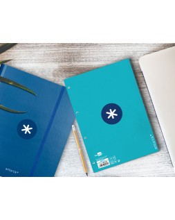 Recambio antartik a4 80 hojas 90gr cuadro 5mm 4 taladros 1 banda con marco color turquesa