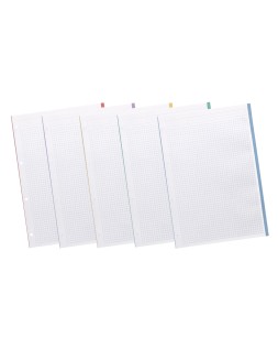 Recambio liderpapel a4 200+50 hojas 90gr cuadro 5mm 4 taladros bandas de 5 colores