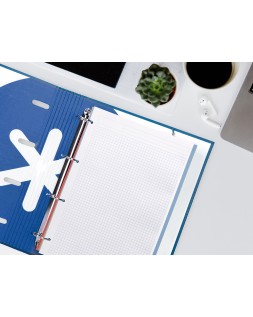 Recambio liderpapel a4 200+50 hojas 90gr cuadro 5mm 4 taladros bandas de 5 colores