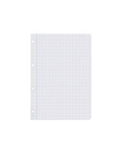 Recambio liderpapel a4 200+50 hojas 90gr cuadro 4mm con margen 4 taladros