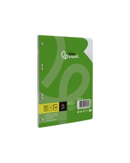 Recambio liderpapel a5 100 hojas 75gr cuadro 4mm con margen 6 taladros