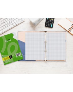 Recambio liderpapel a5 100 hojas 75gr cuadro 4mm con margen 6 taladros