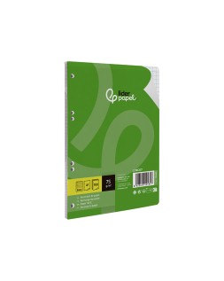 Recambio liderpapel a5 100 hojas 75gr cuadro 6mm con margen 6 taladros