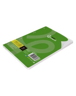 Recambio liderpapel din a5 100 hojas 75 gr horizontal con margen 6 taladros