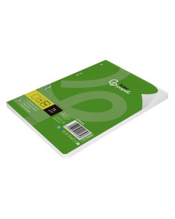 Recambio liderpapel din a5 100 hojas 75 gr liso sin margen 6 taladros