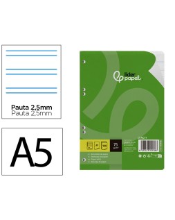 Recambio liderpapel a5 100 hojas 75gr pauta 5 2.5mm con margen 6 taladros