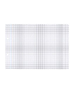 Recambio liderpapel din a5 apaisado 100 hojas 75 gr cuadro 4 mm 2 taladros con margen