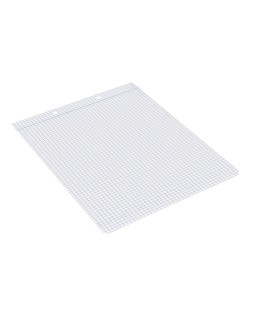 Recambio liderpapel din a5 apaisado 100 hojas 75 gr cuadro 4 mm 2 taladros con margen