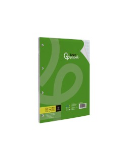 Recambio liderpapel a4 100 hojas 75 gr cuadro 3 mm con margen 4 taladros