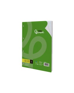 Recambio liderpapel a4 100 hojas 75 gr cuadro 3 mm con margen 4 taladros