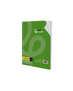 Recambio liderpapel a4 100 hojas 75gr cuadro 4mm con margen 16 taladros