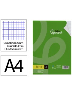 Recambio liderpapel a4 100 hojas 75gr cuadro 4mm con margen sin taladros