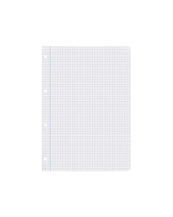 Recambio liderpapel a4 100 hojas 75gr cuadro 6mm 4 taladros con margen