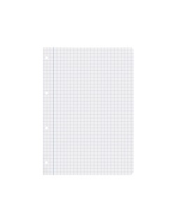 Recambio liderpapel a4 100 hojas 75gr cuadro 8mm con margen 4 taladros