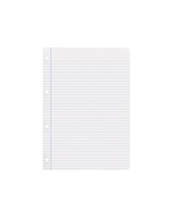 Recambio liderpapel a4 100 hojas 75gr horizontal con margen 4 taladros